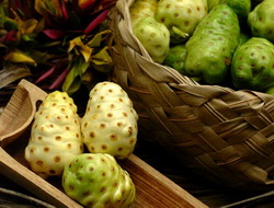 Noni fruit